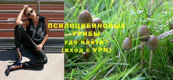прущие крисы Баксан