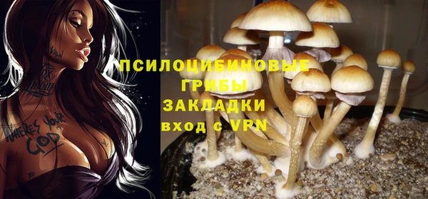 метадон Белоозёрский